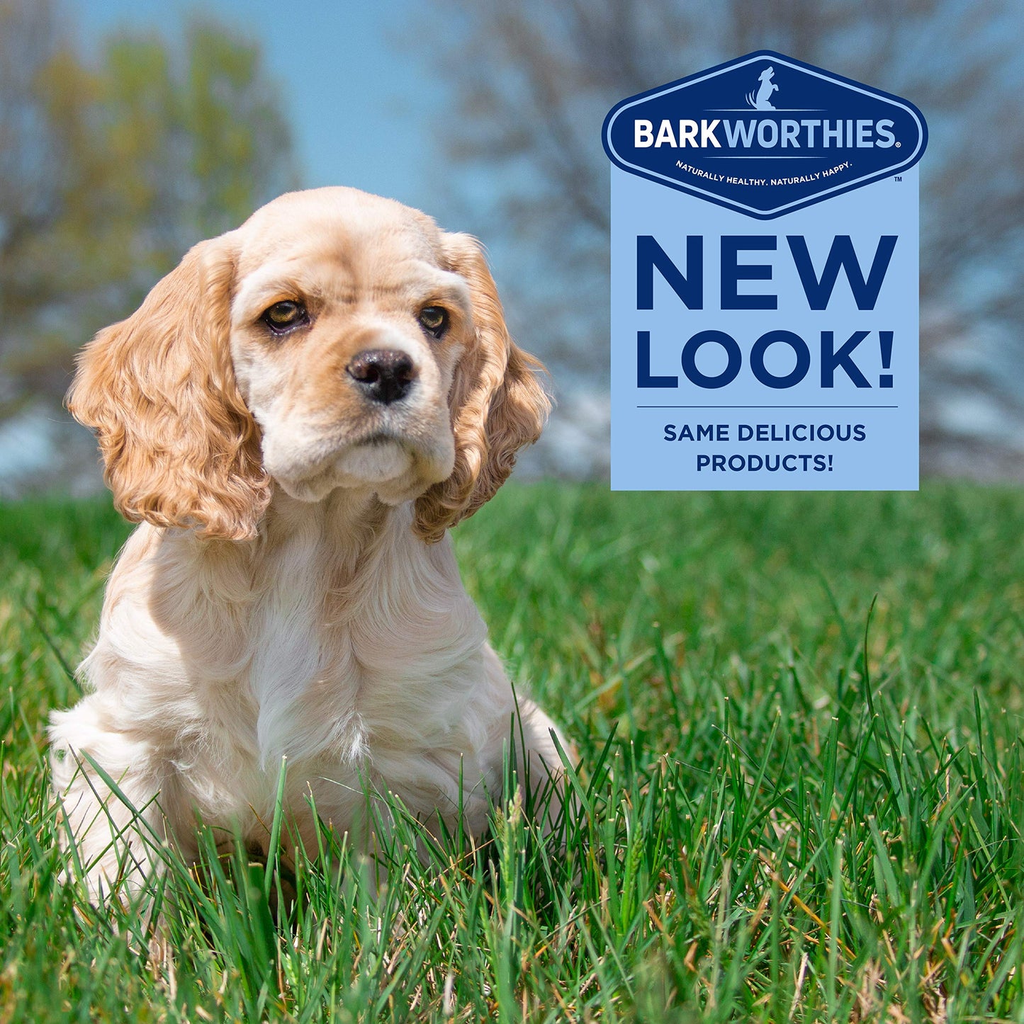 Barkworthies Puppy Variety Pack - 5 Count (Pack of 1) - Protein-Rich, All-Natural, Easily Digestible, Rawhide Alternative, Promotes Dental Health