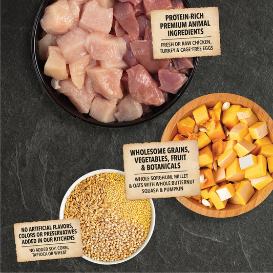 ACANA Wholesome Grains Dry Dog Food Free-Run Poultry & Grains Recipe with Cage-Free Eggs 22.5lb Bag