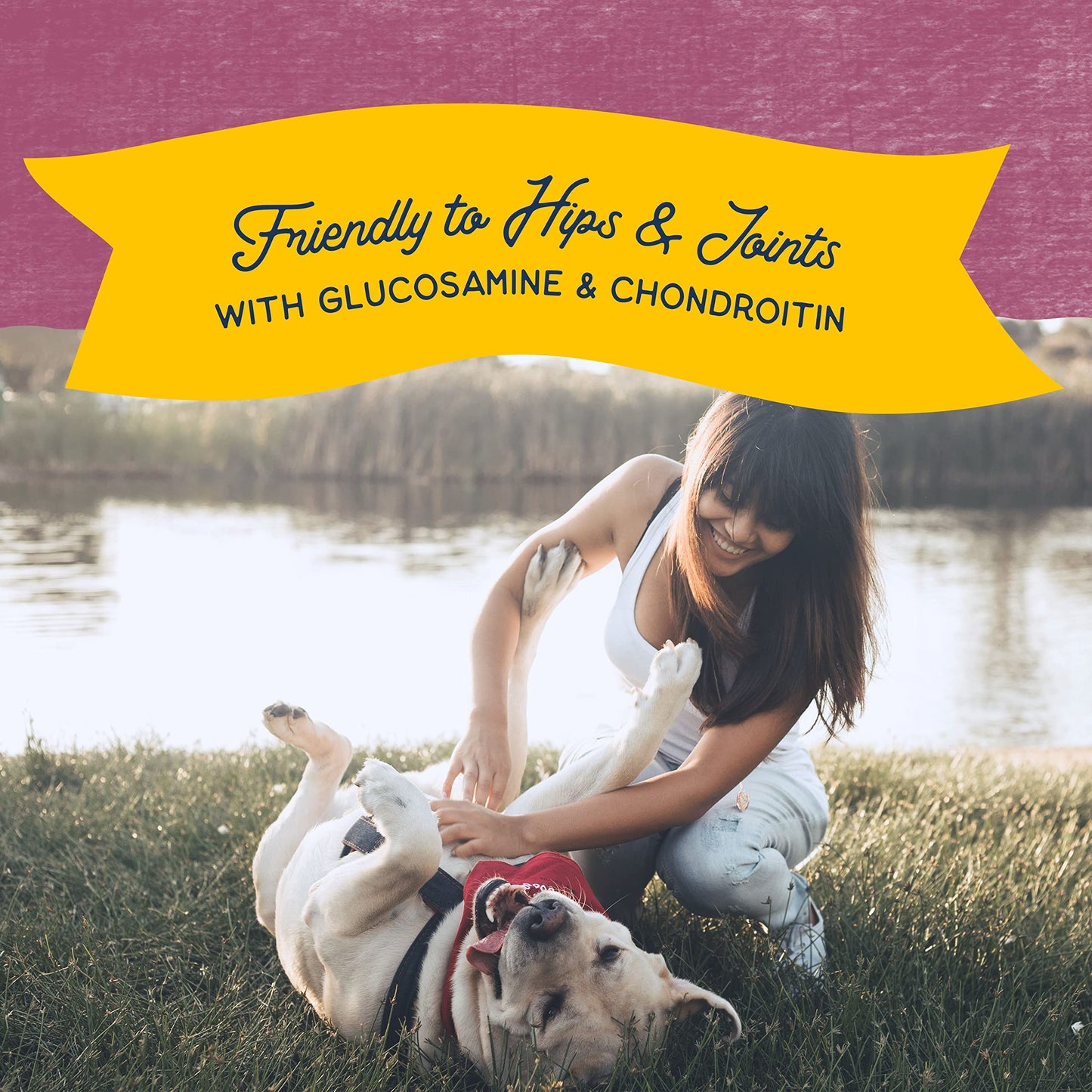 Natural Balance Limited Ingredient Rewards Jumpin' Stix, Grain-Free Dog Treats for Adult Dogs of All Breeds, Venison Recipe, 10 Ounce (Pack of 1)