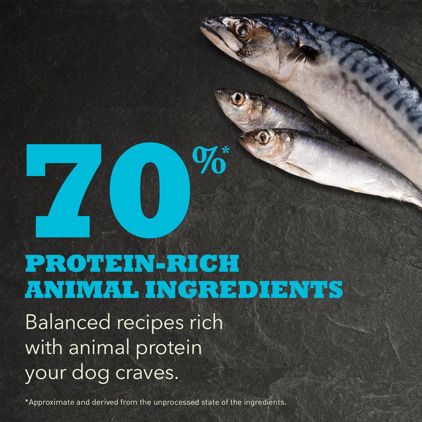 ACANA Highest Protein Grain Free Dry Dog Food Wild Atlantic Recipe 4.5lb Bag