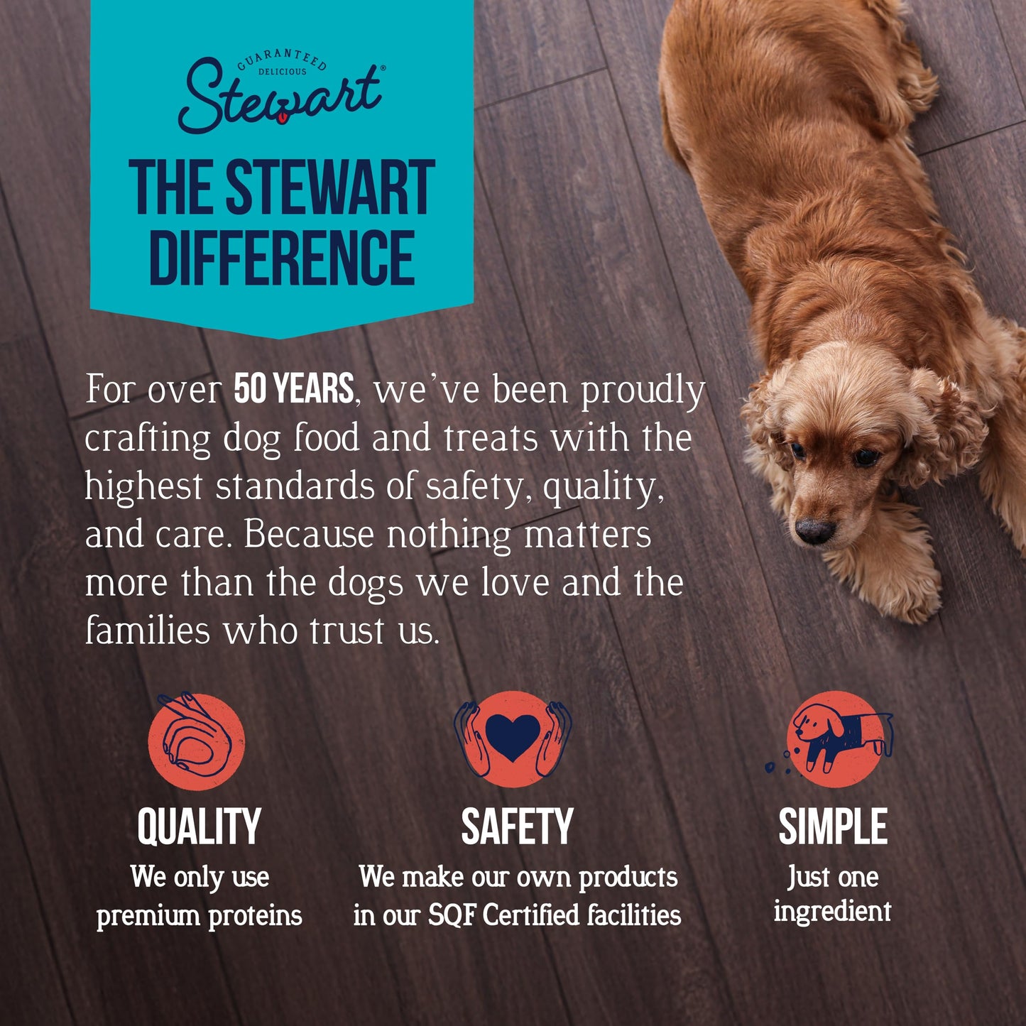 Stewart Single Ingredient Freeze Dried Raw Dog Treats, Chicken Breast, 3 Ounce, Approx. 55 Pieces per Resealable Pouch, Training Treats or Meal Topper, High Protein, Grain Free, Gluten Free