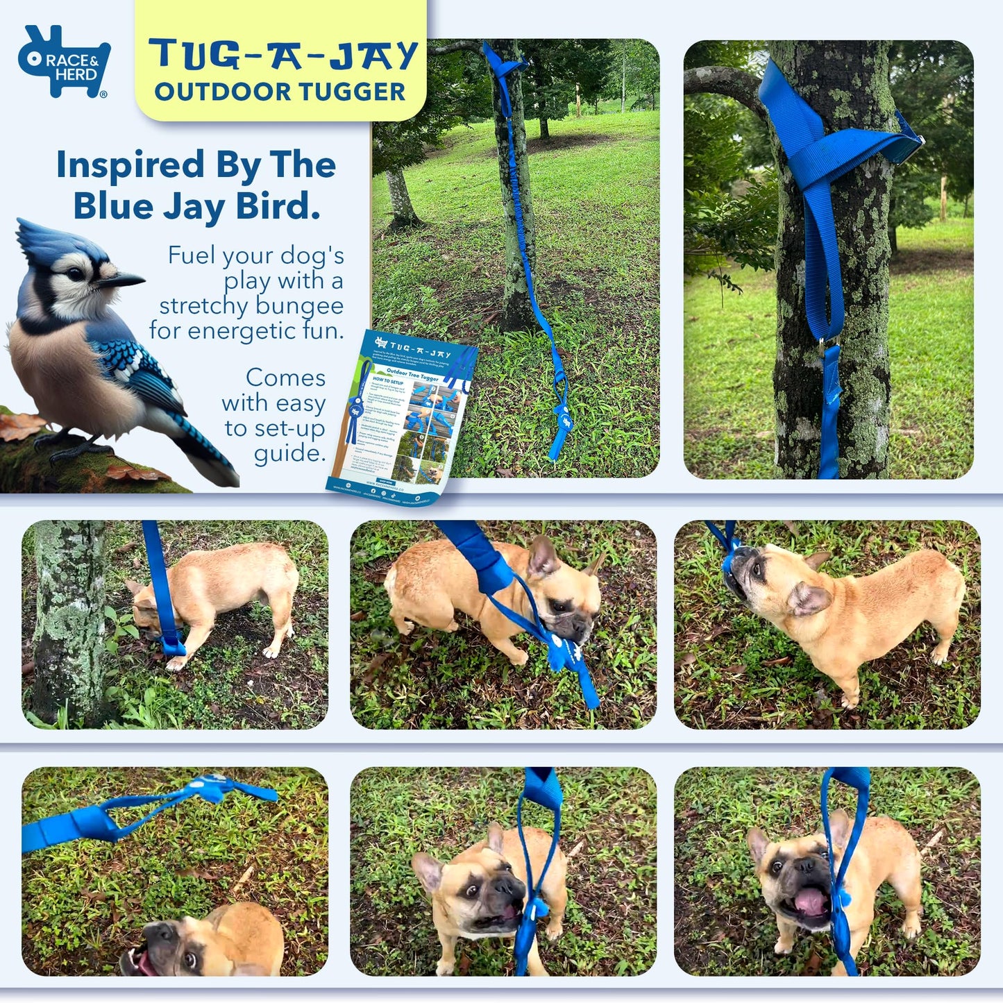 Race&Herd Tug-A-Jay Tree Tugger - Tether Tug Outdoor Dog Toy, Dog Tether Bungee Tug Toy, Tug of War Dog Toys, Dog Backyard Play Equipment Rope, Yard Dogs Playground Equipment, Puppy Outdoor Play