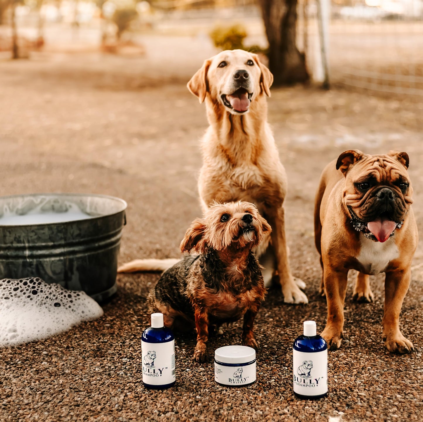 Pet Silk Tearless Puppy Shampoo 16oz, Specially Formulated Tear Free Shampoo for Sensitve Skin & Coat, Effective & Gentle, Fragrance & Dye Free for The at-Home Groomers!