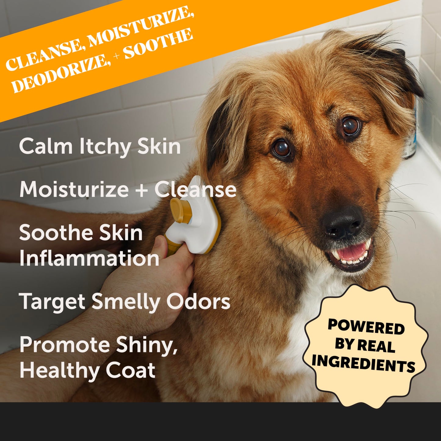 Dog Allergy Relief Seasonal Itch Relief Shampoo for Dogs and Cats - Dog Skin and Coat Supplement, Itch Support for Dogs, Moisturizing and Hydrating Coconut Oil + Vitamin E (16 oz)
