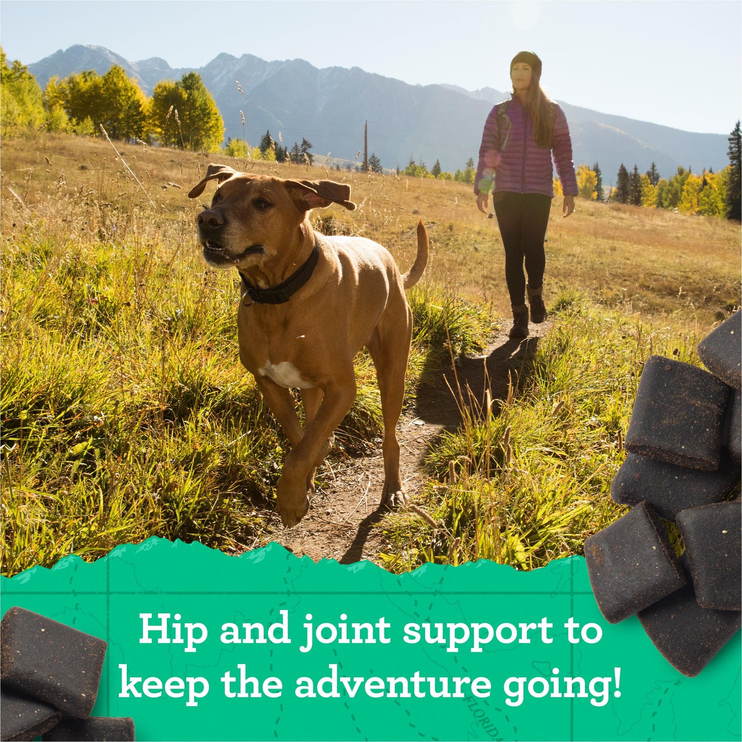 Zuke's Hip and Joint Support Dog Treats for Adult Dogs, Senior Dog Treats Made with Real Peanut Butter and Oats, 16 oz. Resealable Pouch - 16 oz. Bag