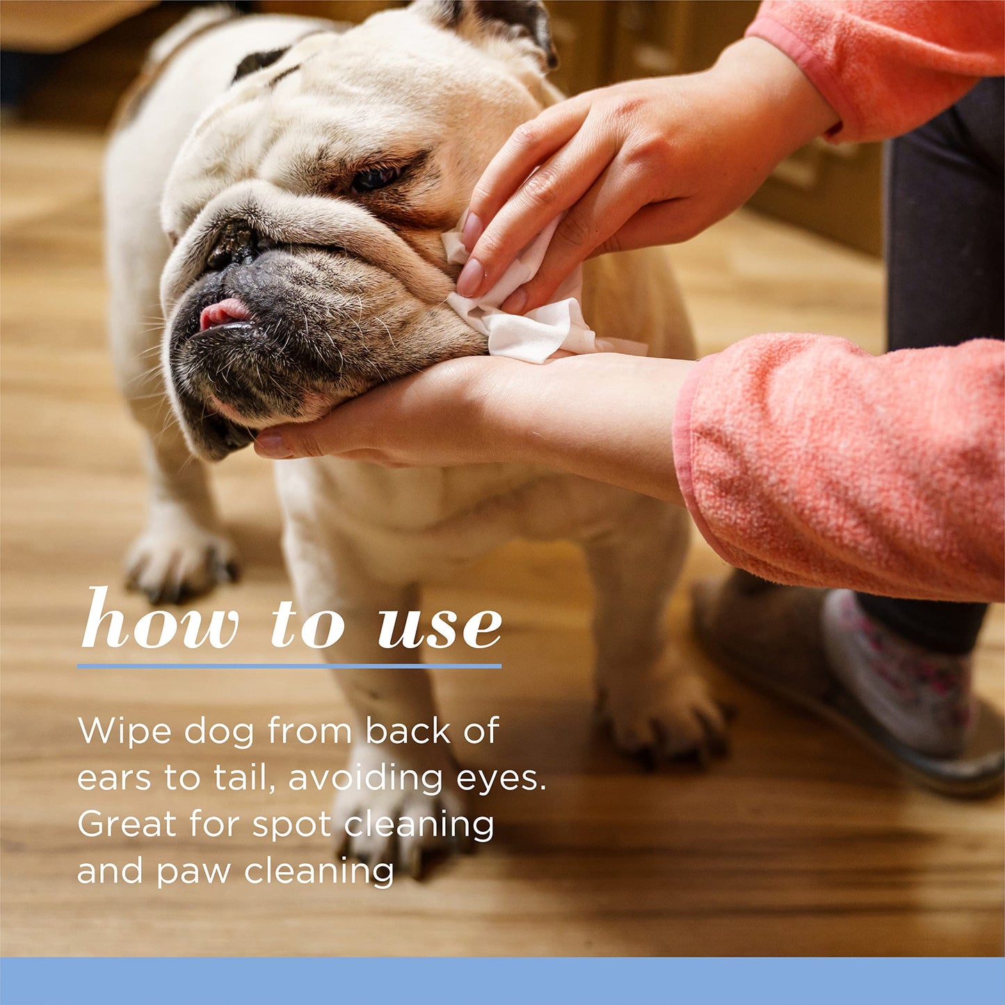 Burt's Bees for Pets Gentle Cleansing Puppy Wipes with Buttermilk, 98% Natural Origin Formulas, Hypoallergenic Dog Wipes Cleaning, Dog Cleaning Wipes, Dog Wipes for Paws and Butt, 50ct