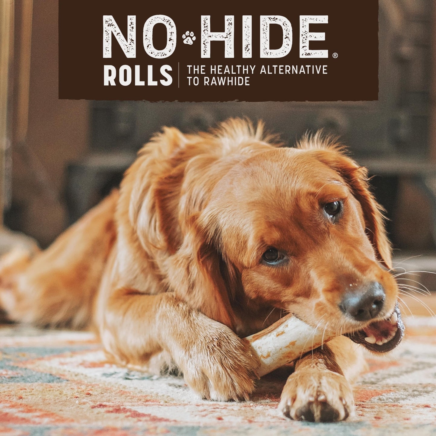 Earth Animal No Hide Medium Salmon Flavored Natural Rawhide Free Dog Chews Long Lasting Chew Sticks | Treats for Large Dogs | Great for Aggressive Chewers - 2 Count