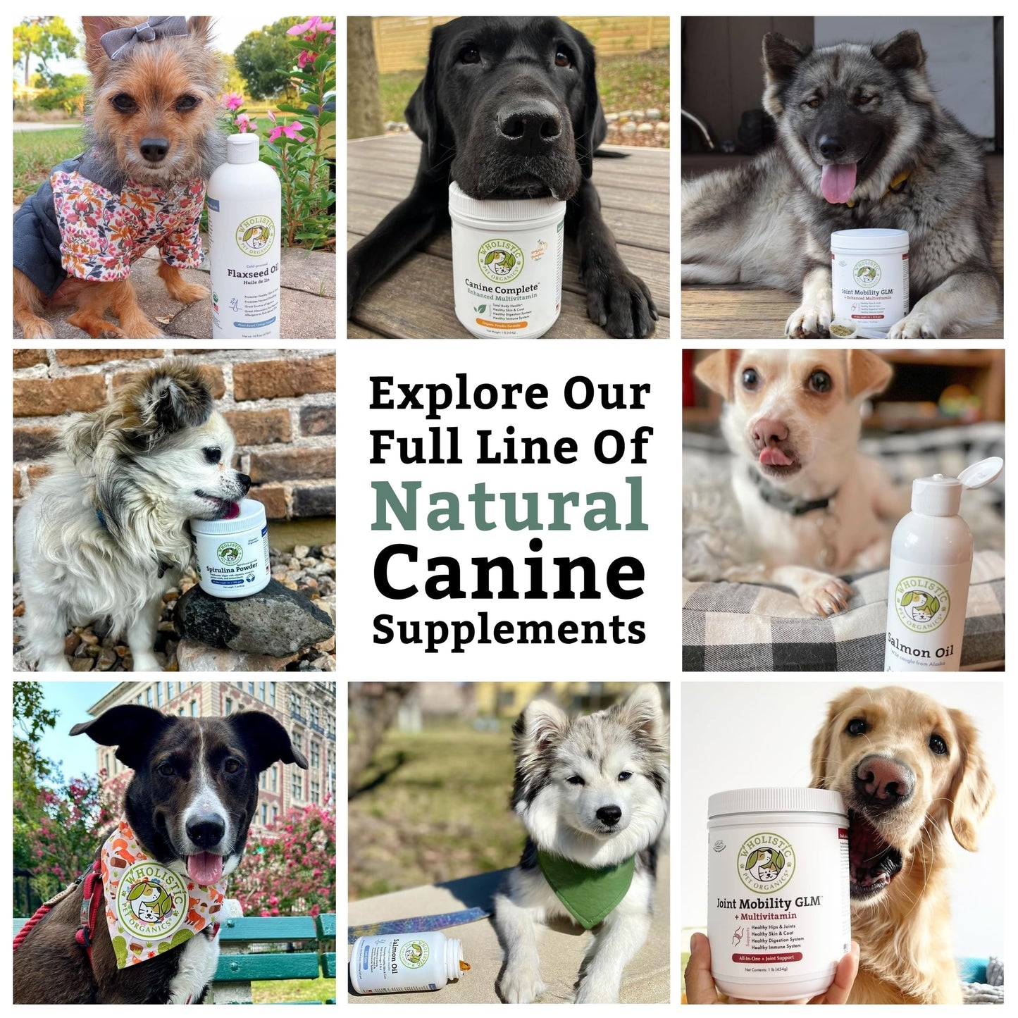 Wholistic Pet Organics Canine Complete - Dog Multivitamin Powder - 1 Lb - Daily Dog Vitamins and Supplements for Homemade Food - Immune System, Skin, Coat & Overall Health - Small and Large Breed