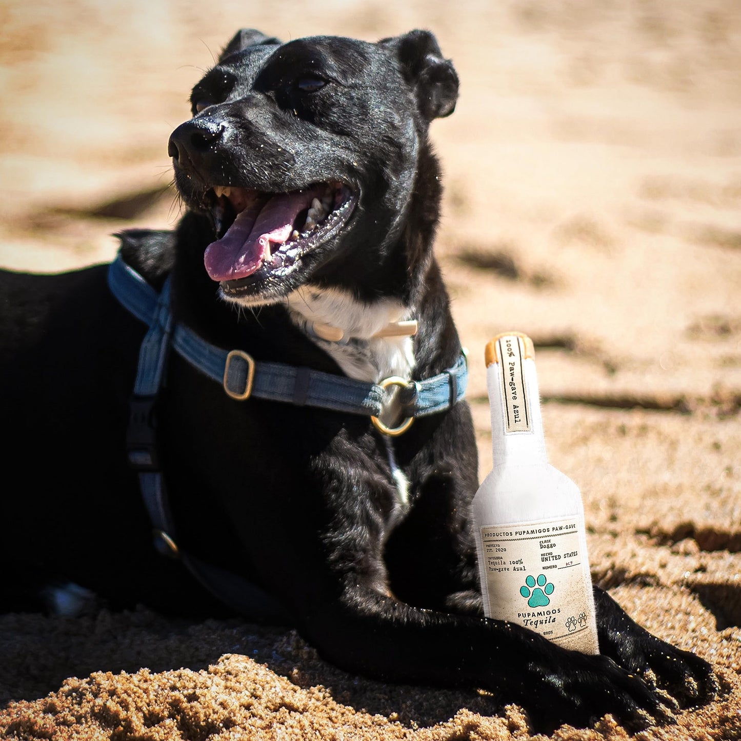 Bark Bros - Liquor Bottle Dog Toy - Plush Squeaky Dog Toys Funny Drink Parody - Alcohol Dog Toy - Dog Birthday Toy - Cute Dog Toys - Puppy Gifts - Puppy Stuff - Dog Stuff (Large, Pupamigos)