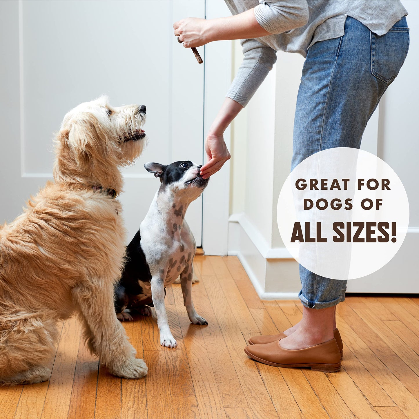 Rocco & Roxie Beef and Chicken Jerky Sticks Treats for Dogs Bundle