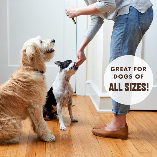 Rocco & Roxie Beef Jerky Dog Treats 1 lb | Soft Training Snacks Made in USA | High Value Treat for Small Dogs, Large Breeds, Seniors, and Puppies | Natural Jerky Chews for Rewarding Good Behavior