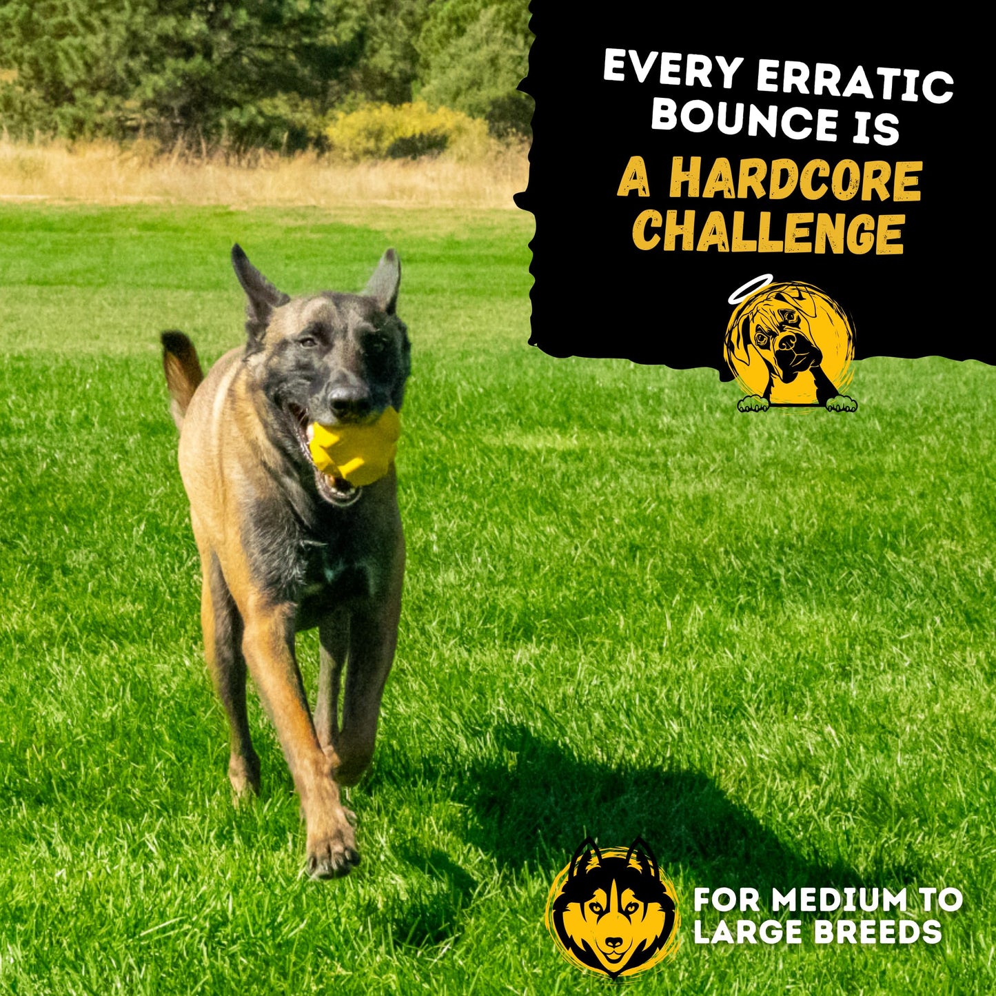 WoofBite Indestructible Jumping Jack Chew Toy - Lifetime Replacement - Durable Dog Toy for Aggressive Chewers - Safe, Non-Toxic Natural Rubber - Interactive, Chew & Fetch - Tough, Heavy Duty - 4.5”