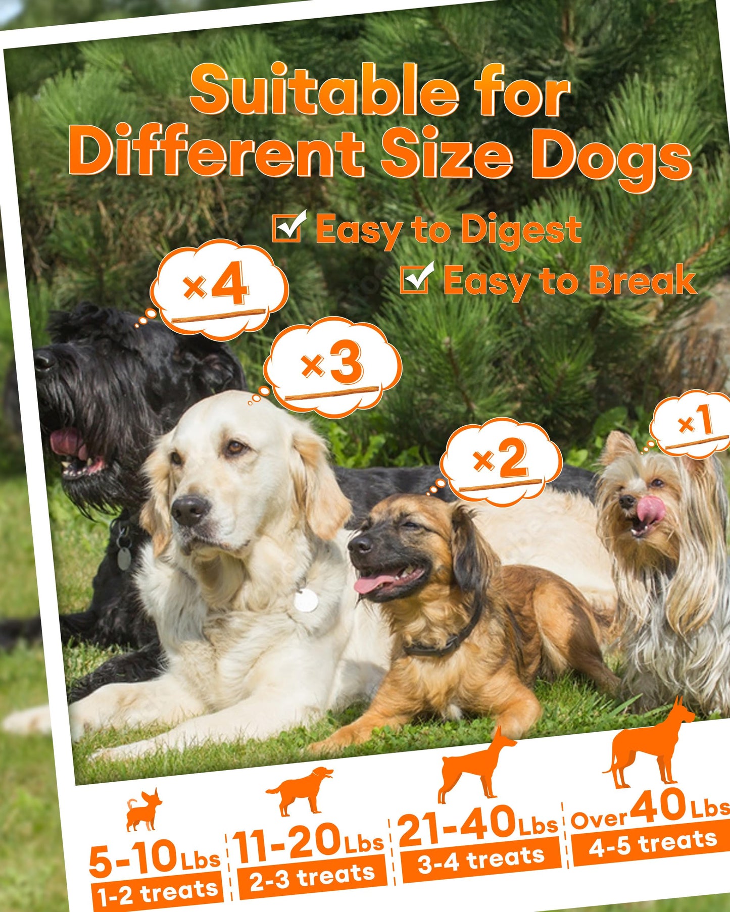 Pawaura Chicken Strips for Dogs, Single Ingredient Dehydrated Chicken Jerky Sticks Training Treats for Puppy to Large Dogs 14.1 oz