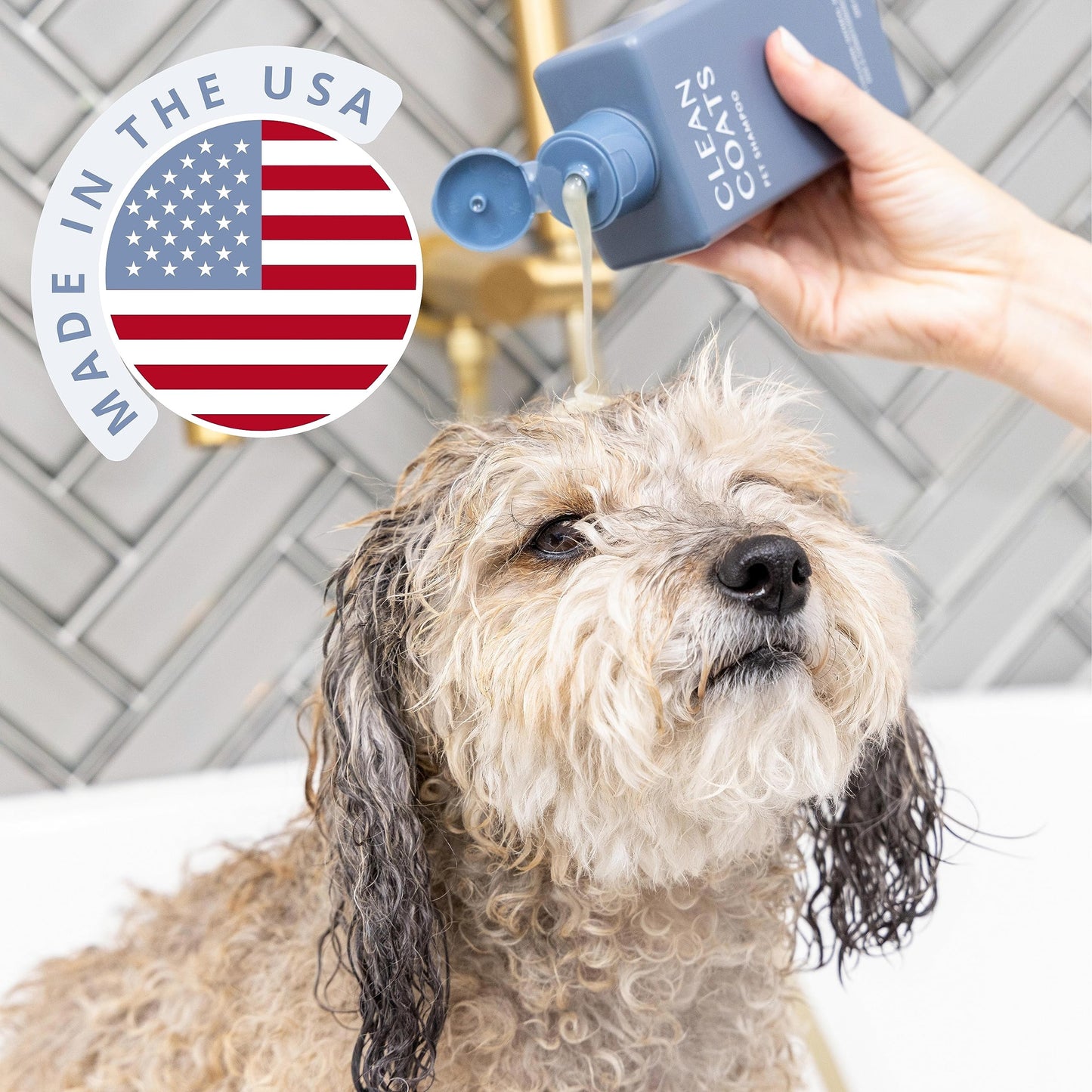 Clean Coats Fragrance Free Pet Shampoo for Dogs – Gentle Oatmeal & Aloe Leaf Formula for Sensitive Skin, Helps to Relieve Itchy & Dry Skin, Vegan Formula