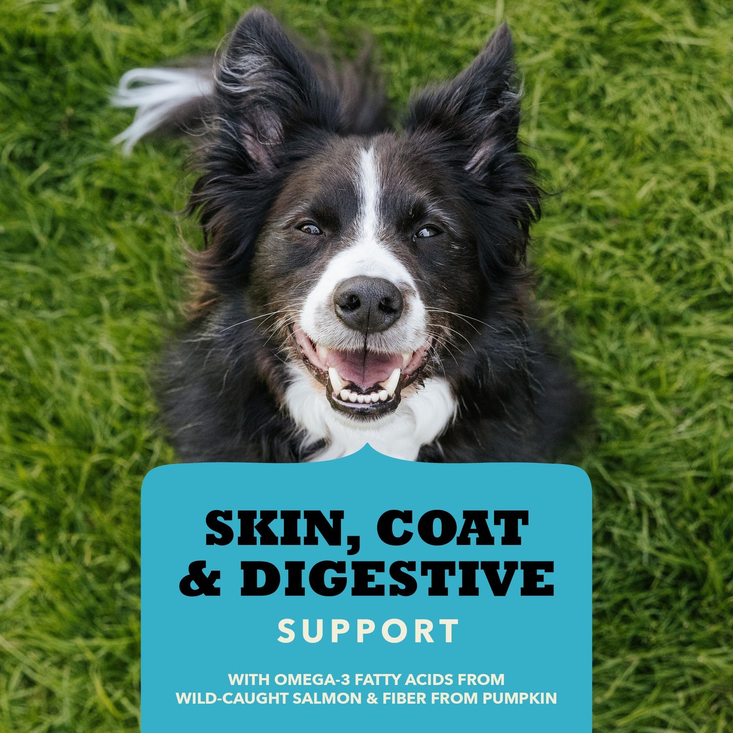 ACANA Chewy Strips Limited Ingredient Dog Treats Salmon Recipe with Skin, Coat, & Digestive Support 4oz Bag