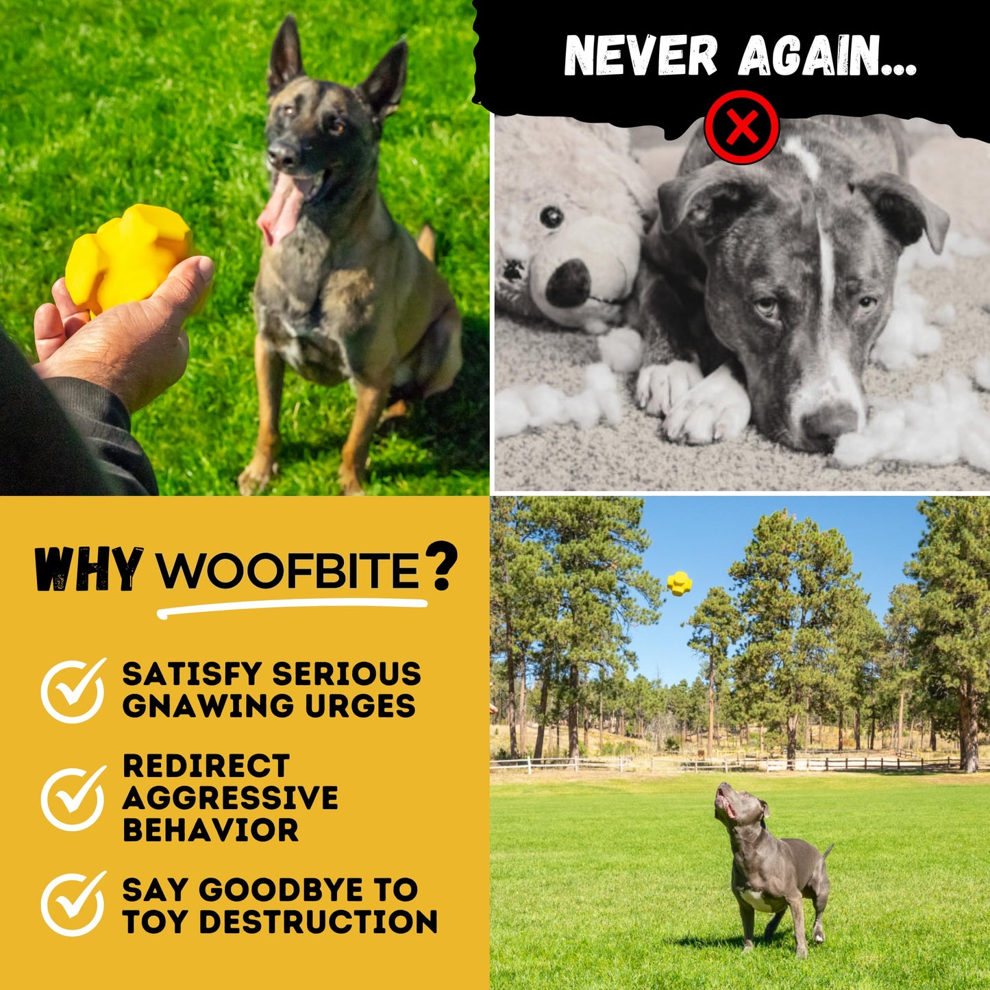 WoofBite Indestructible Jumping Jack Chew Toy - Lifetime Replacement - Durable Dog Toy for Aggressive Chewers - Safe, Non-Toxic Natural Rubber - Interactive, Chew & Fetch - Tough, Heavy Duty - 4.5”