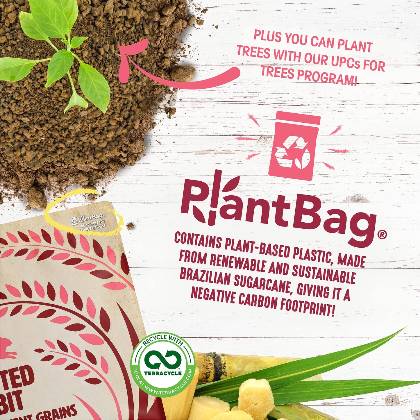 Earthborn Holistic Venture Unrefined Roasted Rabbit with Ancient Grains & Superfoods Dry Dog & Puppy Food, 4 lb.