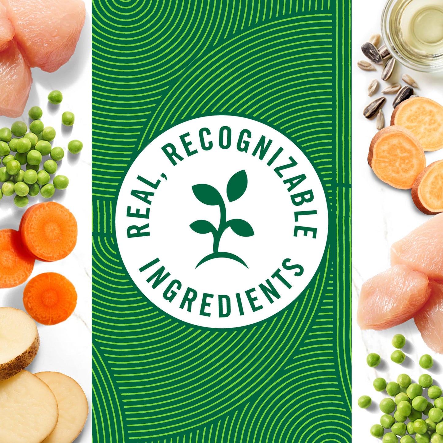 Nutro Natural Choice Premium Loaf Adult Wet Dog Food Chicken Recipe 12.5 oz Cans (12 Count, Pack of 1)