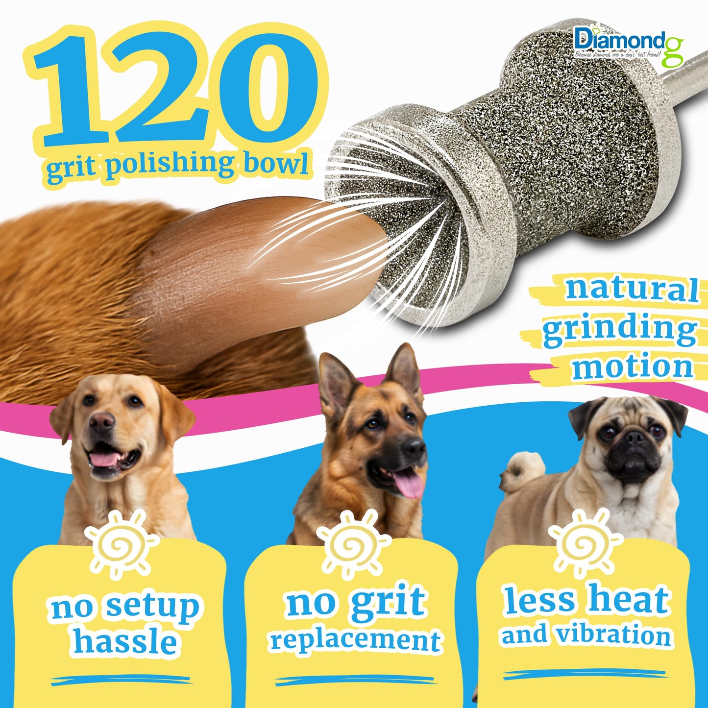 Diamondg Dog Nail Grinder Bits, 2 Pack - Compatible with Dremel, Diamond Bits for Pet Nails, Ideal for Small and Large Dogs (Standard Little Lola & Standard Big Casey)