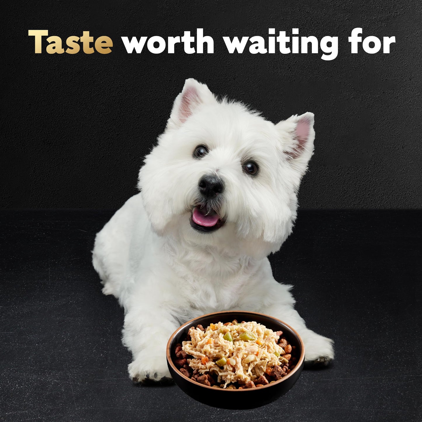 Cesar Wholesome Bowls Adult Wet Dog Food, Chicken Recipe and Chicken, Sweet Potatoes & Green Beans Recipe Variety Pack, 3 oz. (6 Count, Pack of 1)