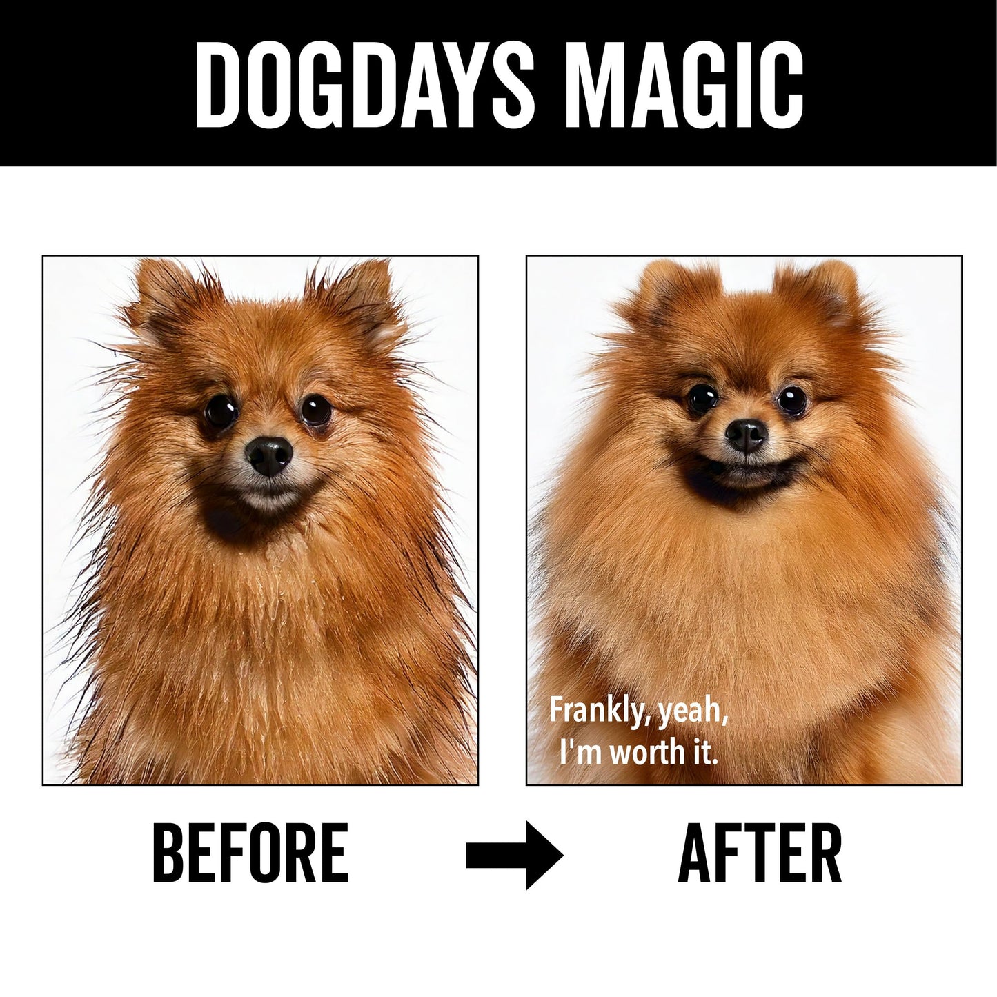 Pride and Groom DogDays Nourishing Dog Conditioner | Tearless, Hypoallergenic Formula for Allergies, Itching & Dry Skin | Natural Detangler for Dogs | Extends Life of Dog Groom | 16 oz