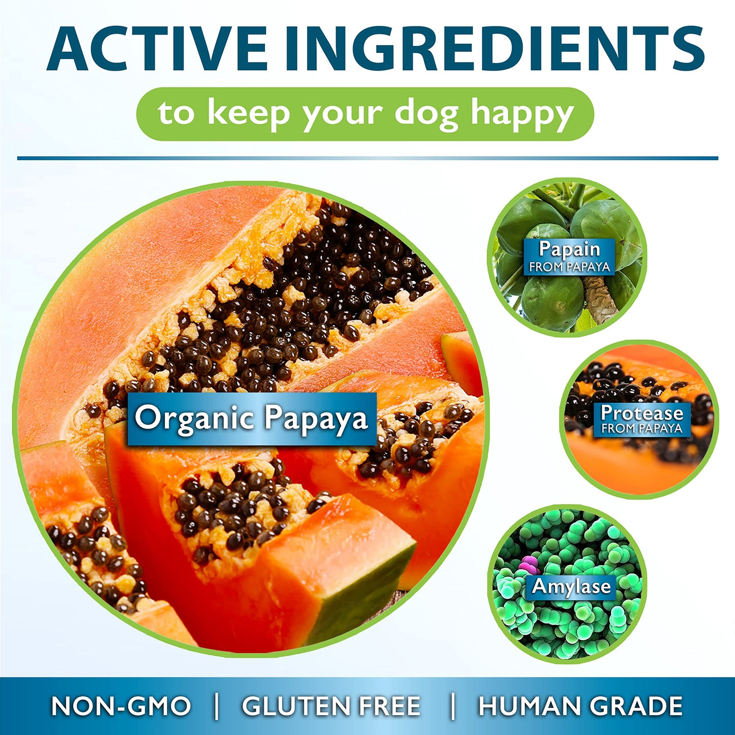 Nutrition Strength Papaya for Dogs Digestive Enzyme Complex to Support Normal Intestinal Function, Boost Immunity, with Organic Papaya Fruit + Papain, Protease & Amylase, 90 Soft Chews