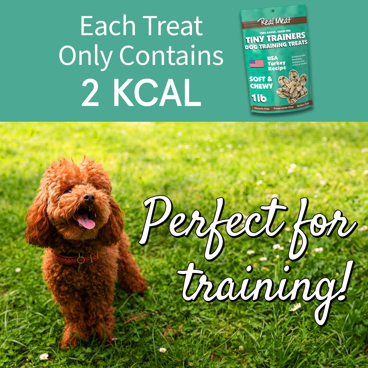 Real Meat Tiny Trainer Bites Dog Treats - 1lb of USA-Made Soft & Chewy Air-Dried Turkey Training Treats for Dogs & Puppies - All-Natural Grain-Free Dog Training Treats With Free-Range Cage-Free Turkey