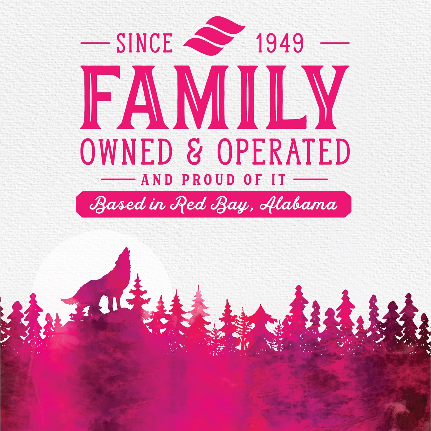 Triumph Free Spirit Grain Free Salmon and Vegetable Recipe Jerky Bites Soft Dog Treats | 24 oz