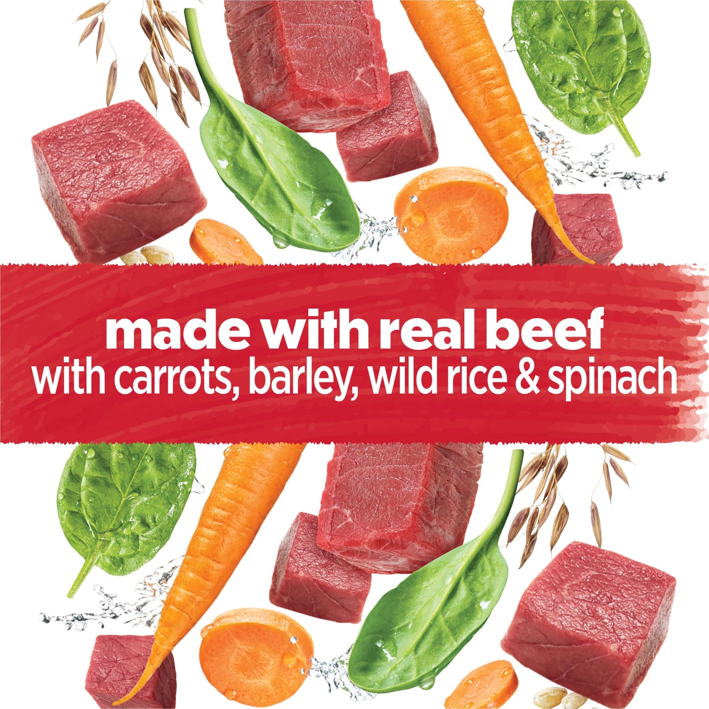 Purina Beneful Gravy Wet Dog Food, Prepared Meals Simmered Beef Entree - (8) 10 oz. Tubs