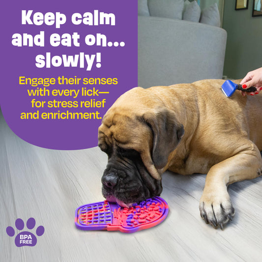 Brightkins Pup Cone Lick Mat, Food Rubber Mat and Snuffle Pet Supplies, Enrichment Puppy Pads Essentials Products, Anxiety Relief Items, Interactive Dog Toys