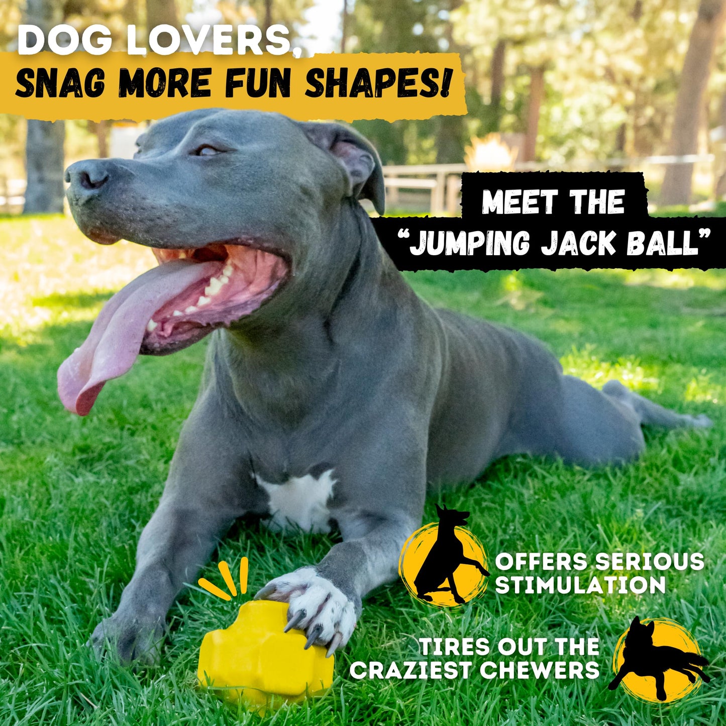 WoofBite Indestructible Giant XL Dog Ball - Lifetime Replacement - Durable Toy for Aggressive Chewers - Safe, Non-Toxic Natural Rubber - Chew, Tug & Fetch - Tough, Heavy Duty - Large Breed, Massive 8”