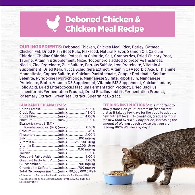Wellness Complete Health Kitten Dry Cat Food for Indoor & Outdoor Cats, Wholesome Grains, Natural, Original Turkey, Turkey Meal and Chicken (5 Pound Bag)