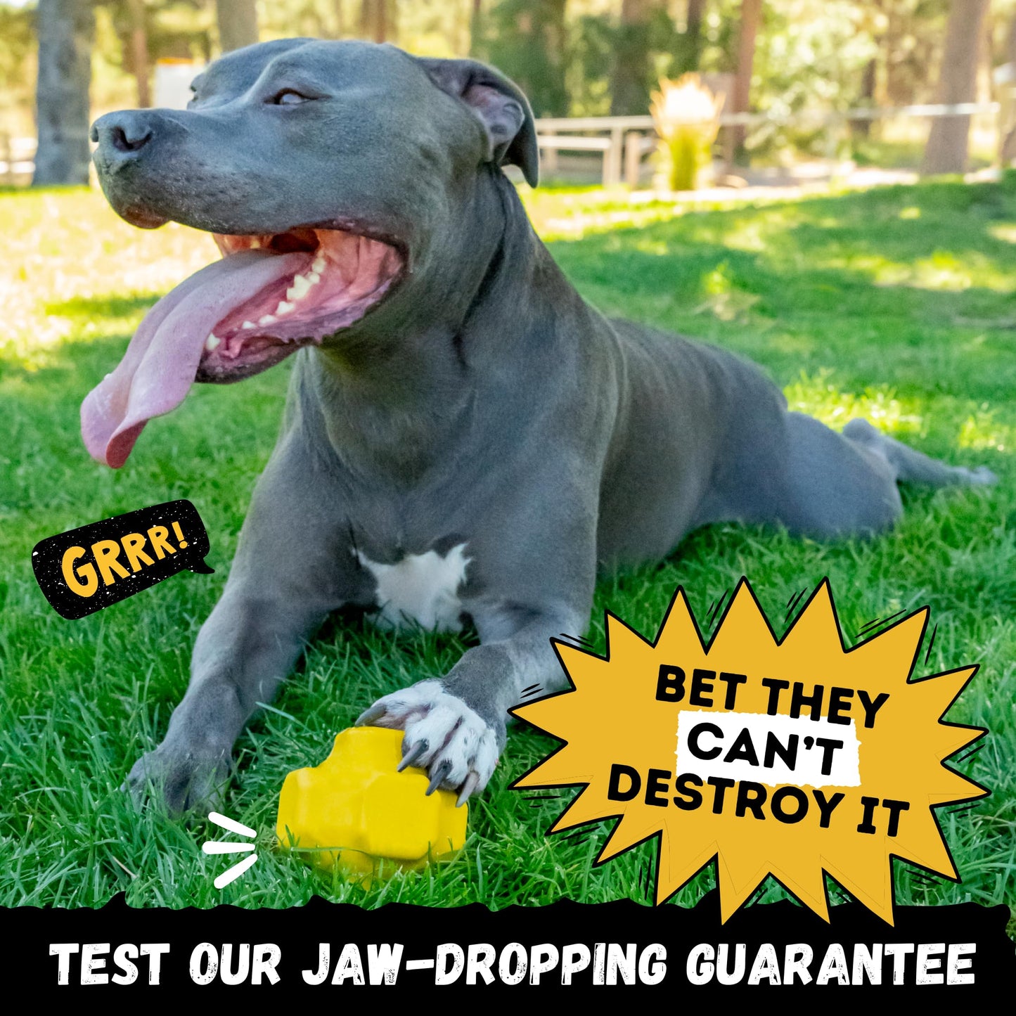 WoofBite Indestructible Jumping Jack Chew Toy - Lifetime Replacement - Durable Dog Toy for Aggressive Chewers - Safe, Non-Toxic Natural Rubber - Interactive, Chew & Fetch - Tough, Heavy Duty - 4.5”