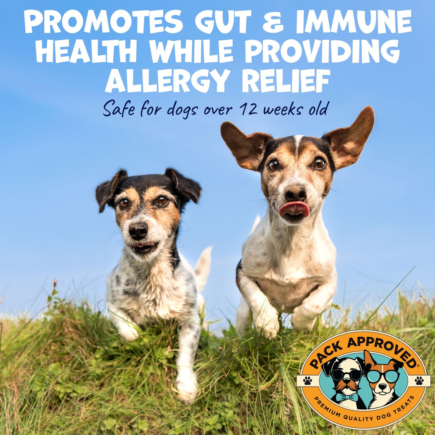 Pack Approved Dog Peanut Butter - Aids Dog Itching Skin Relief & Allergy Support with Colostrum - Contains Probiotics for Dogs Allergies and Itchy Skin - Allergy (239g)