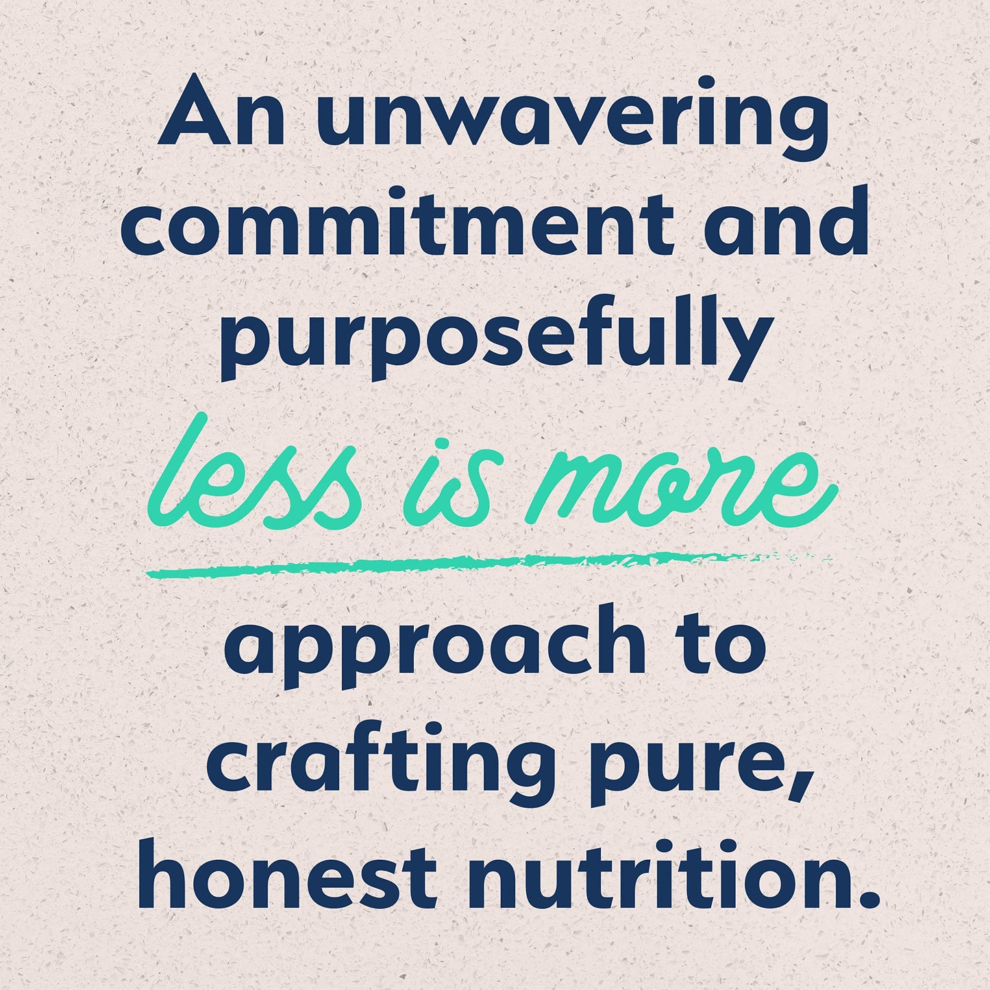 Natural Balance Limited Ingredient Adult Grain-Free Wet Canned Dog Food, Chicken & Sweet Potato Recipe, 13 Ounce (Pack of 12)