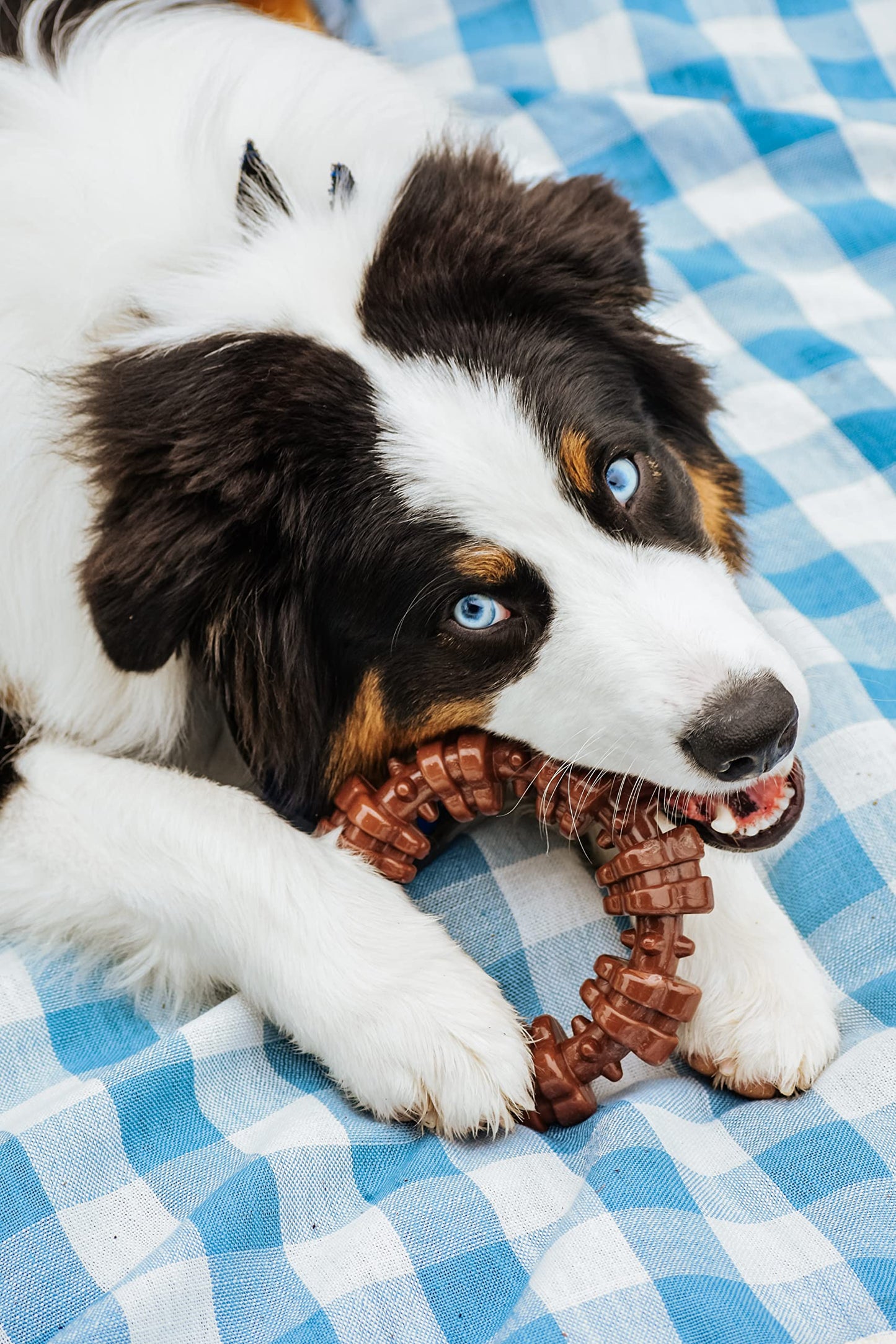 Quizvi Dog Chew Toy for Aggressive Chewers – Tough Nylon Bone with Bacon Flavor for Pitbulls & Large Dogs, Indoor Play for Teeth Cleaning & Anxiety Relief