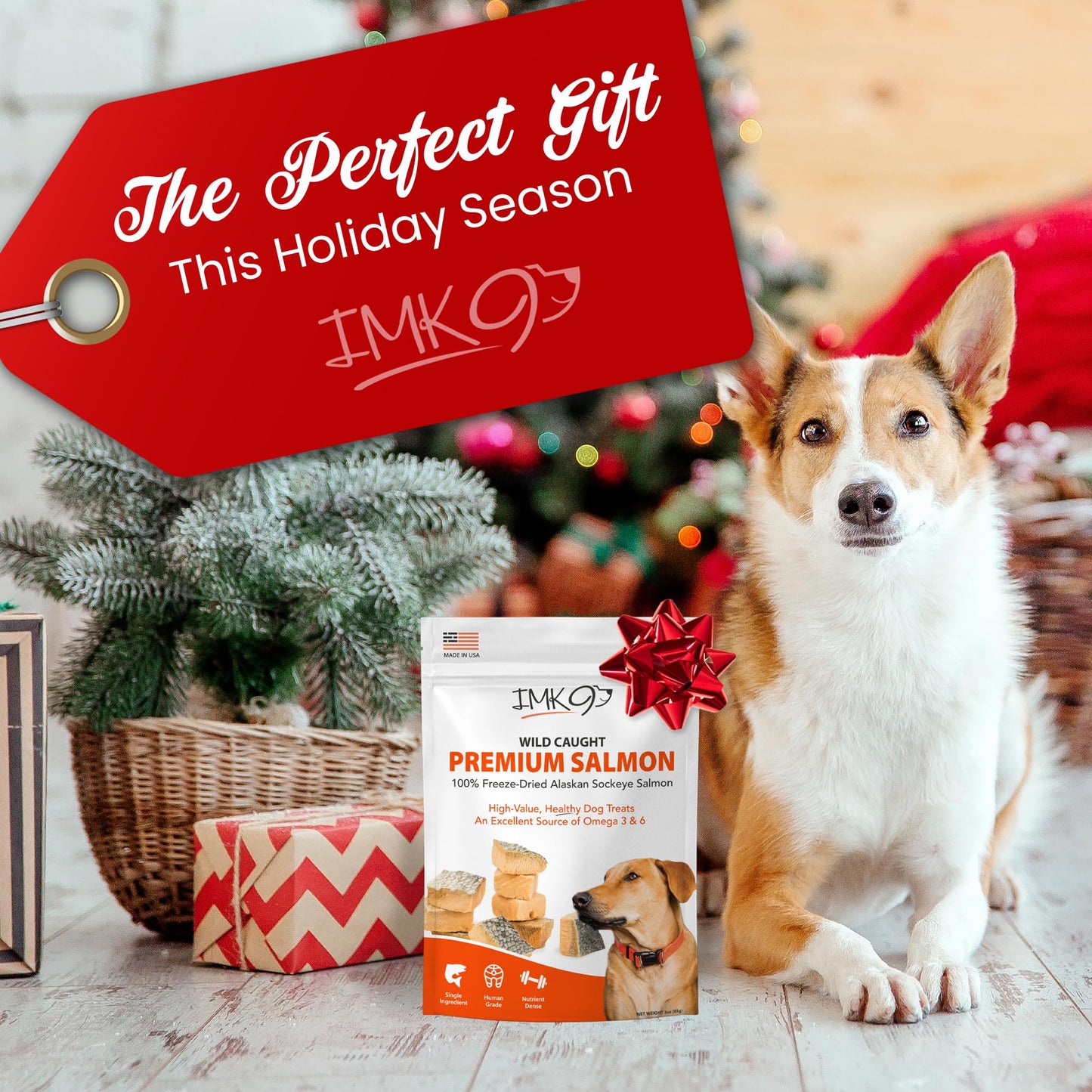 Freeze Dried Salmon Dog Treats – All Natural Dog Treats, Healthy Protein, High Value Training – Omega 3-6 Fish Oil - 100% Pure Fish with Skin, Wild Caught - Single Ingredient, Grain Free - Made in USA