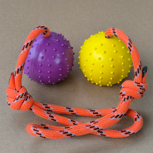 MMSGA 2 Pcs Dog Toy Ball with Rope Handle，Dog Training Ball on Rope Toy ，Hollow Rubber Ball for Fetch, Catch, Throw and Tug of War，Not Suitable for Strong Chewing Power Dog (Purple+Yellow, L)
