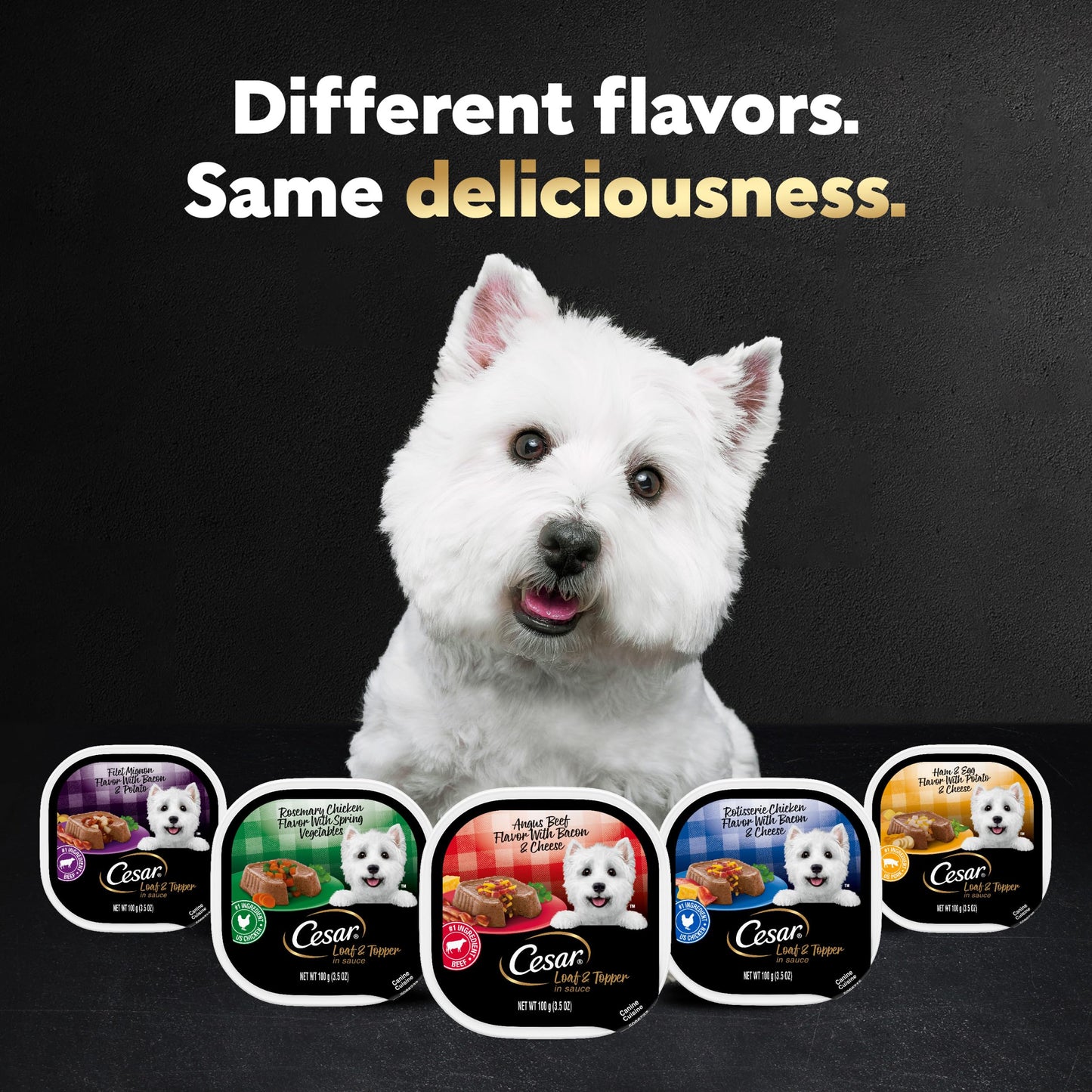 Cesar Wet Dog Food Loaf in Sauce Rotisserie Chicken Flavor with Bacon & Cheese and Filet Mignon Flavor with Bacon & Potato Variety Pack, 3.5 oz. Easy Peel Trays (12 Count, Pack of 2)