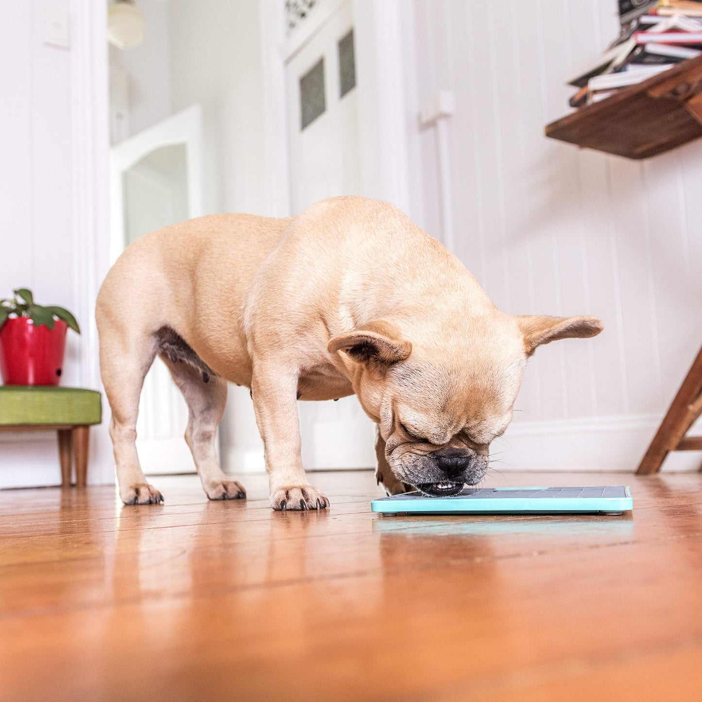 LickiMat Tuff, Heavy-Duty Playdate, Dog Slow Feeder Lick Mat, Boredom Anxiety Reducer; Perfect for Food, Treats, Yogurt, or Peanut Butter, Fun Alternative to a Slow Feed Dog Bowl, Turquoise
