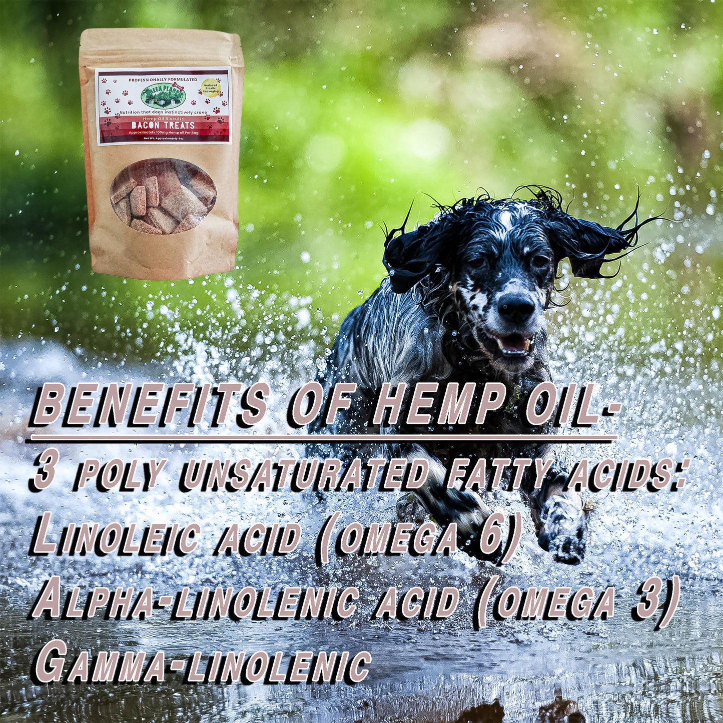Green Planet Hemp Dog Treats | Bacon 100mg of Hemp Per Bag | 100% Natural and Non GMO | Offers Your Pet Hip, Joint, and Muscle Support | Aids with Anxiety,Stress, and Pain