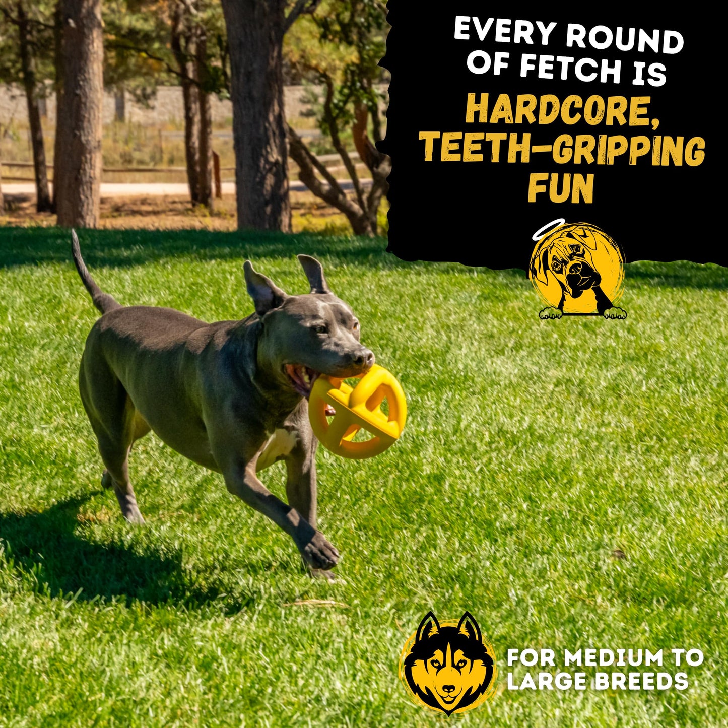 WoofBite Indestructible Giant XL Dog Ball - Lifetime Replacement - Durable Toy for Aggressive Chewers - Safe, Non-Toxic Natural Rubber - Chew, Tug & Fetch - Tough, Heavy Duty - Large Breed, Massive 8”