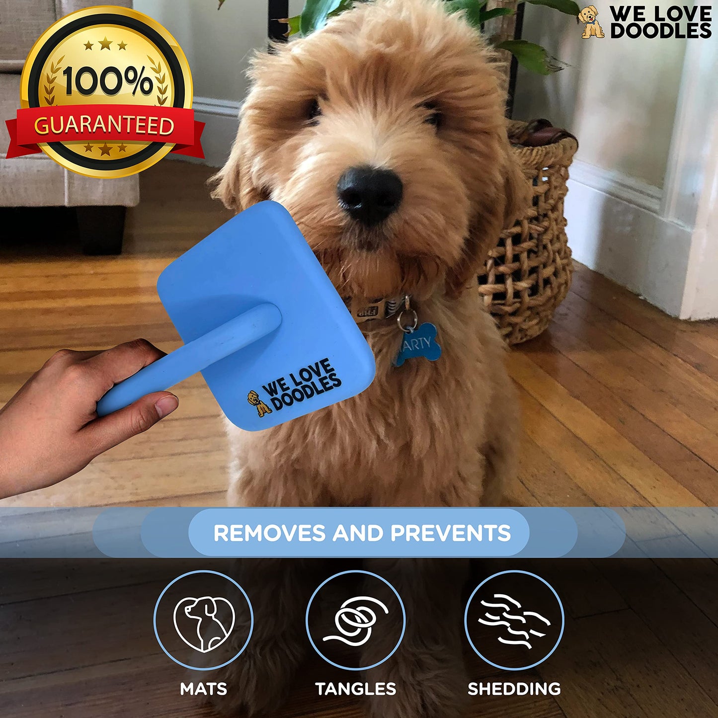 We Love Doodles Bundle 4-in-1 Non-Organic Dog Shampoo (Lavender & Chamomile) & Large Slicker Brush - Long Pin Brush for Dematting, Best Brushes for Poodle & Golden Doodle, Long Haired Brush for Dogs