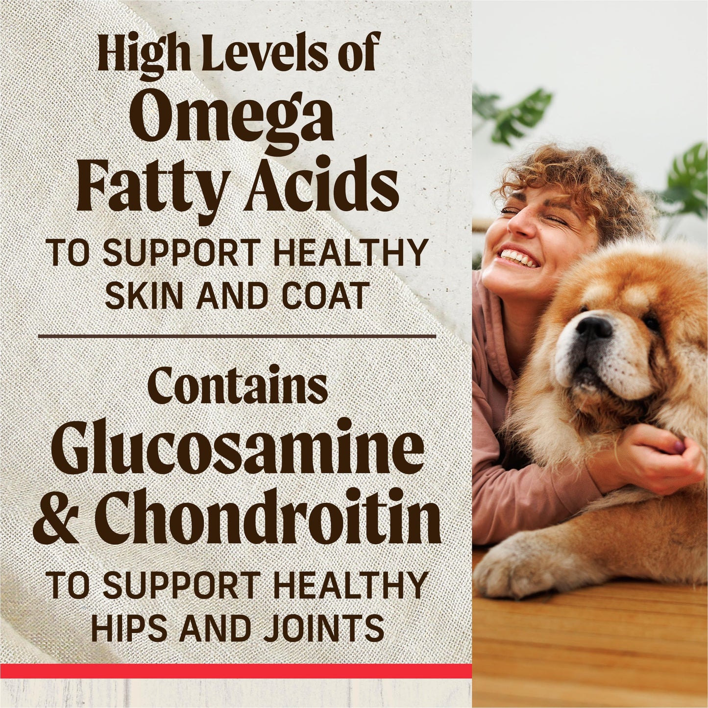 Merrick Healthy Grains Freeze Dried Raw Coated Kibble, Natural High Protein Dog Food, Beef and Brown Rice - 10.0 lb. Bag