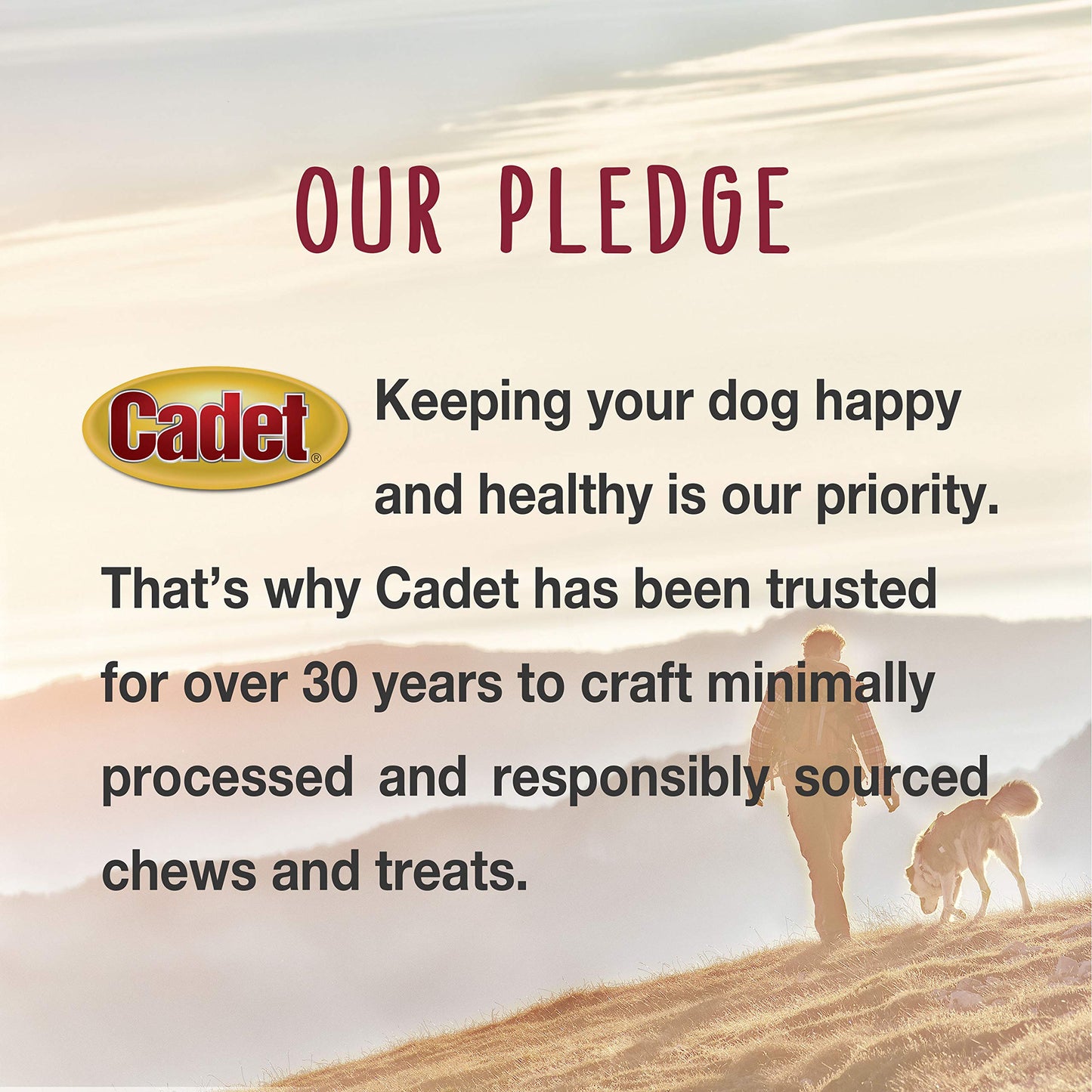 Cadet Gourmet Duck Breast Jerky Dog Treats, Healthy, Long-Lasting High-Protein Training Treats for Small & Large Dogs, 14 oz.