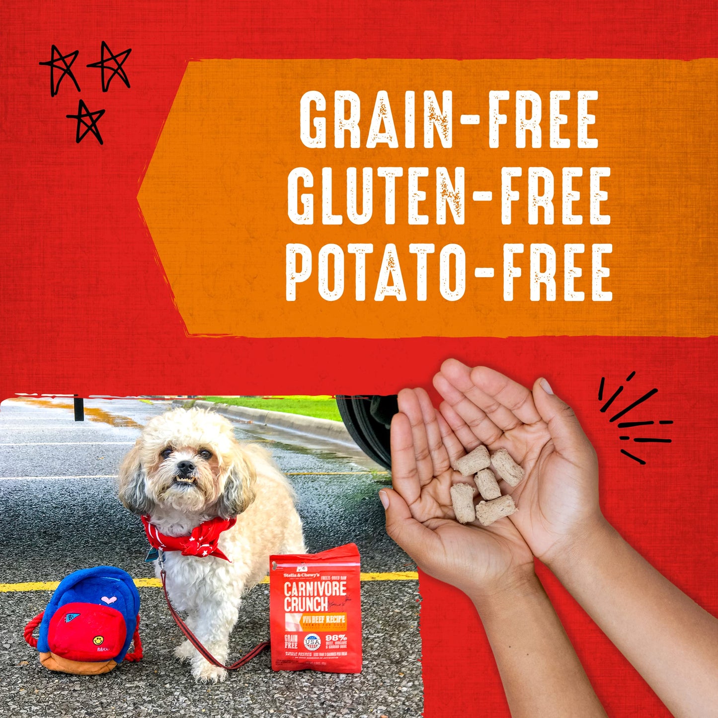 Stella & Chewy's Freeze-Dried Raw Dog Treats - Carnivore Crunch for Training - Natural Limited Ingredient, Grain-Free - Perfect for Picky Eaters - Grass-Fed Beef Recipe - 3.25 oz Bag