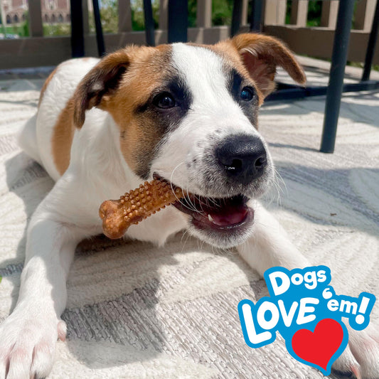 Nylabone Nubz Natural Edible Chew Treats for Dogs, Made in USA, Chicken Flavor, Large - Up to 50 lbs. (40 Count)