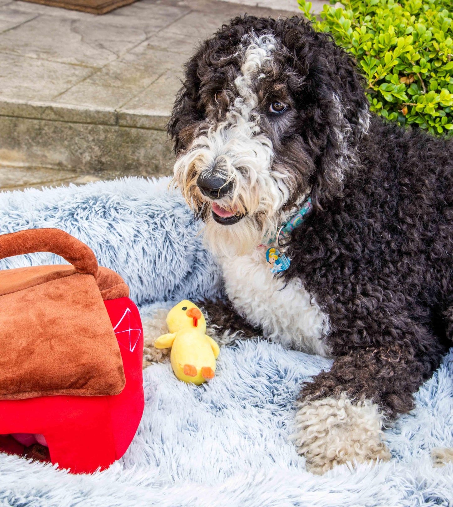 Glow Pups Interactive Hide and Seek Dog Toys for large dogs, medium dog and small dogs, Barnyard Adventure Plush Toy with Crinkle Sound and Squeaky Animals, Red and Brown Barn with 3 Pack Farm Animals