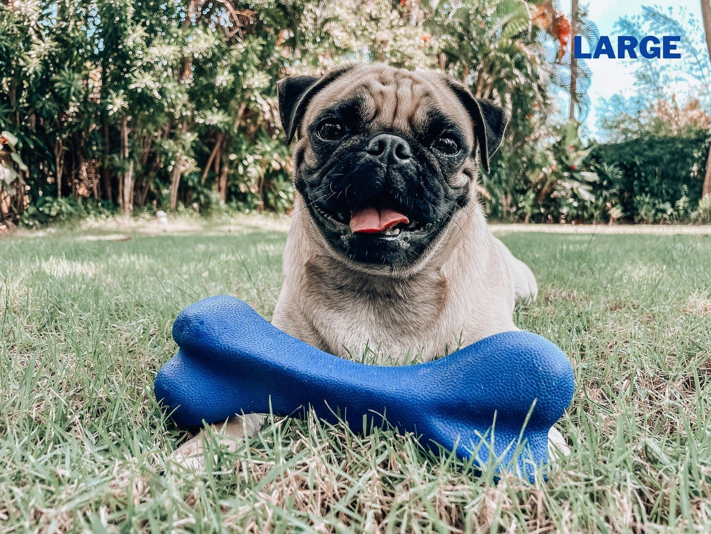 Tuff Pupper SuperChewy Tough Dog Bone Toy | Lifetime Replacement | Strong Natural Rubber | Great Dog Fetch Toy | Chew Toys for Dogs | Ultra Durable Chew Toys for Moderate Chewers | Large Breed Tested