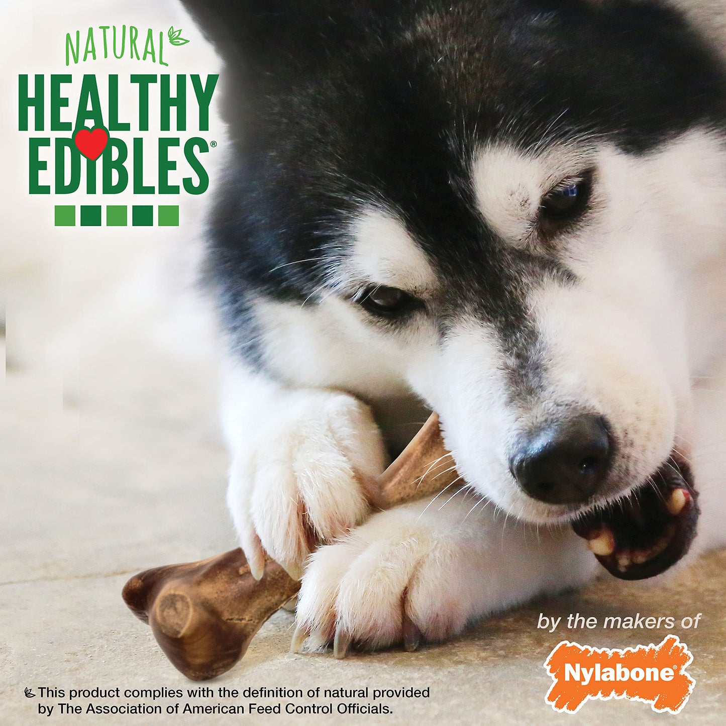 Nylabone Healthy Edibles Wild Natural Long-Lasting Bison Flavor Bone Chew Treats for Dogs, Large (1 Count) (Pack of 4)